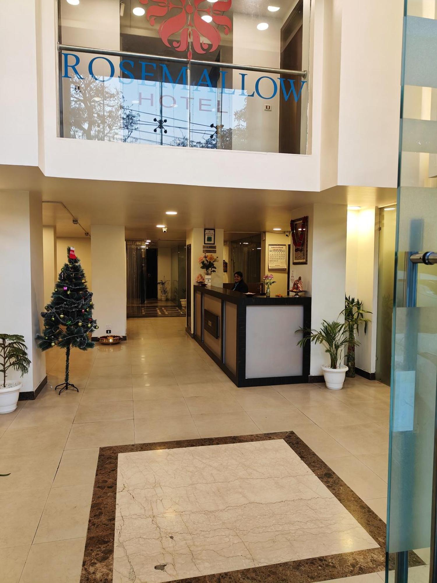 Rosemallow Hotel New Delhi Exteriör bild